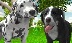 Dog Simulator 3D