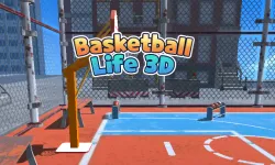 Basketball Life 3d