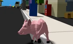 Crazy Pig Simulator