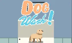 Dog Wash