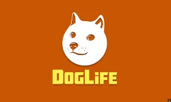 DogLife