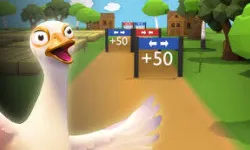 Farm Bird Rush