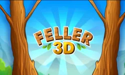 Feller 3D