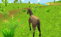 Horse Simulator 3D