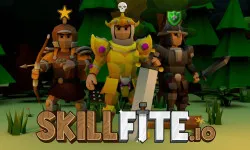 Skillfite.io